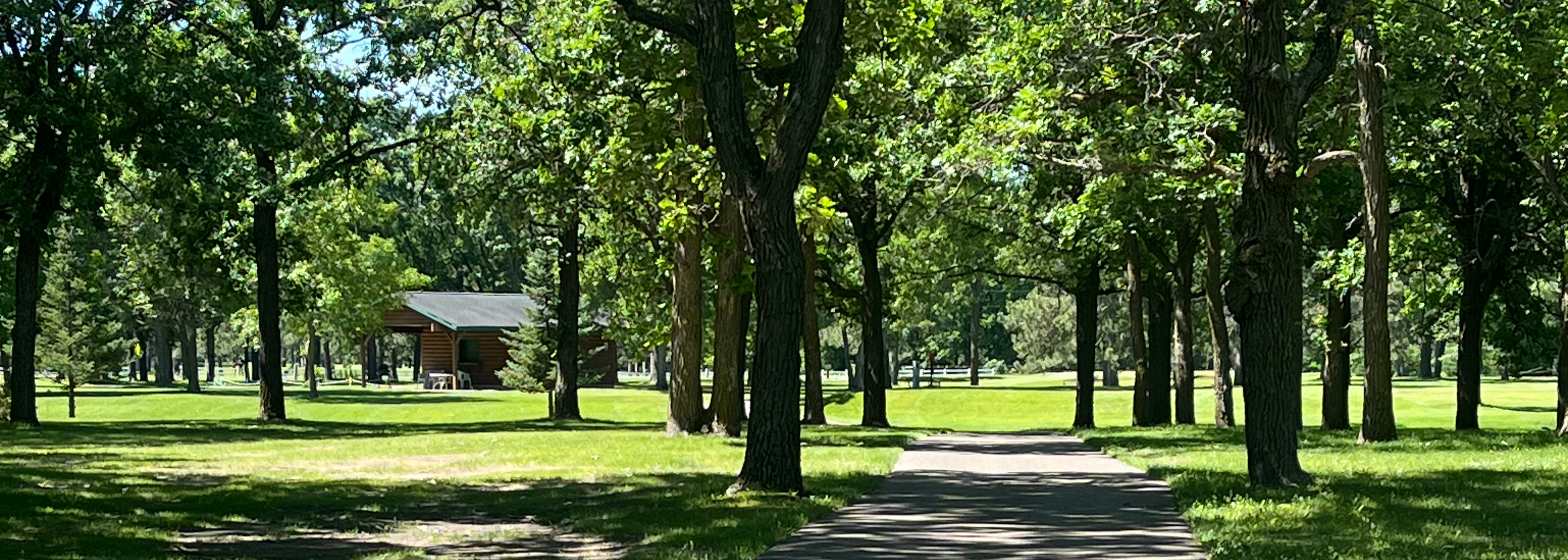 Cart path beneath the trees