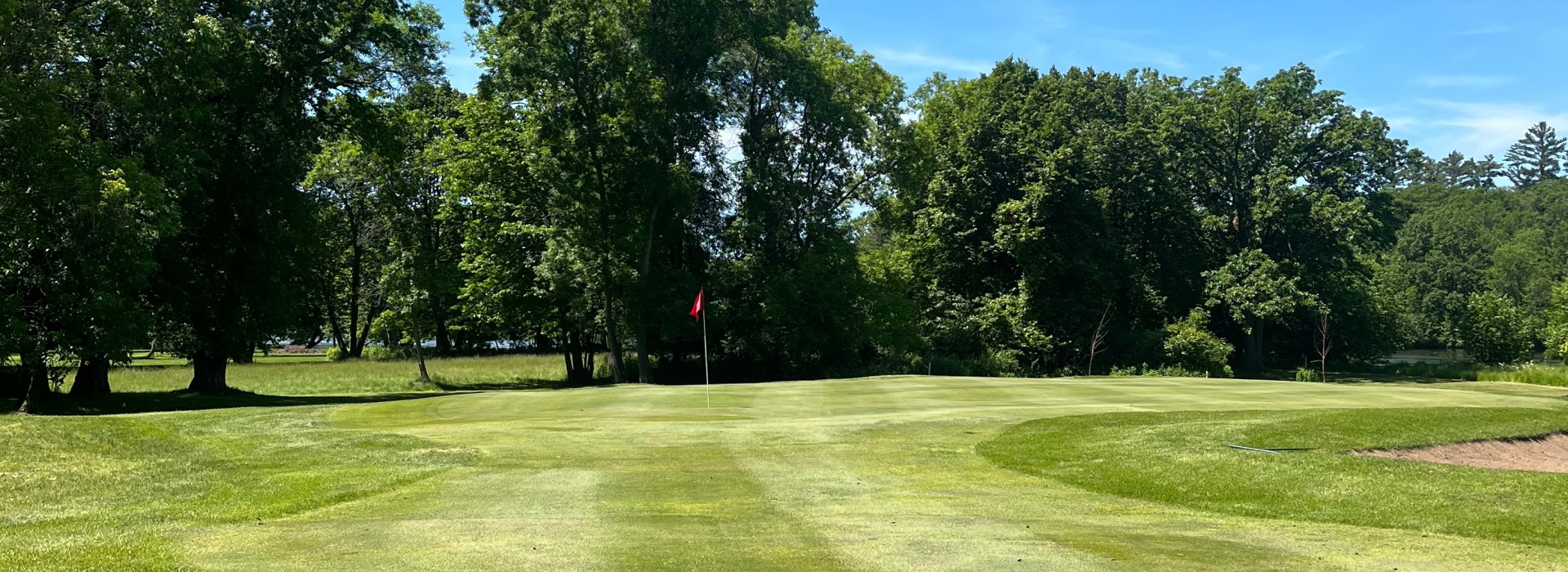 Manicured golf course green