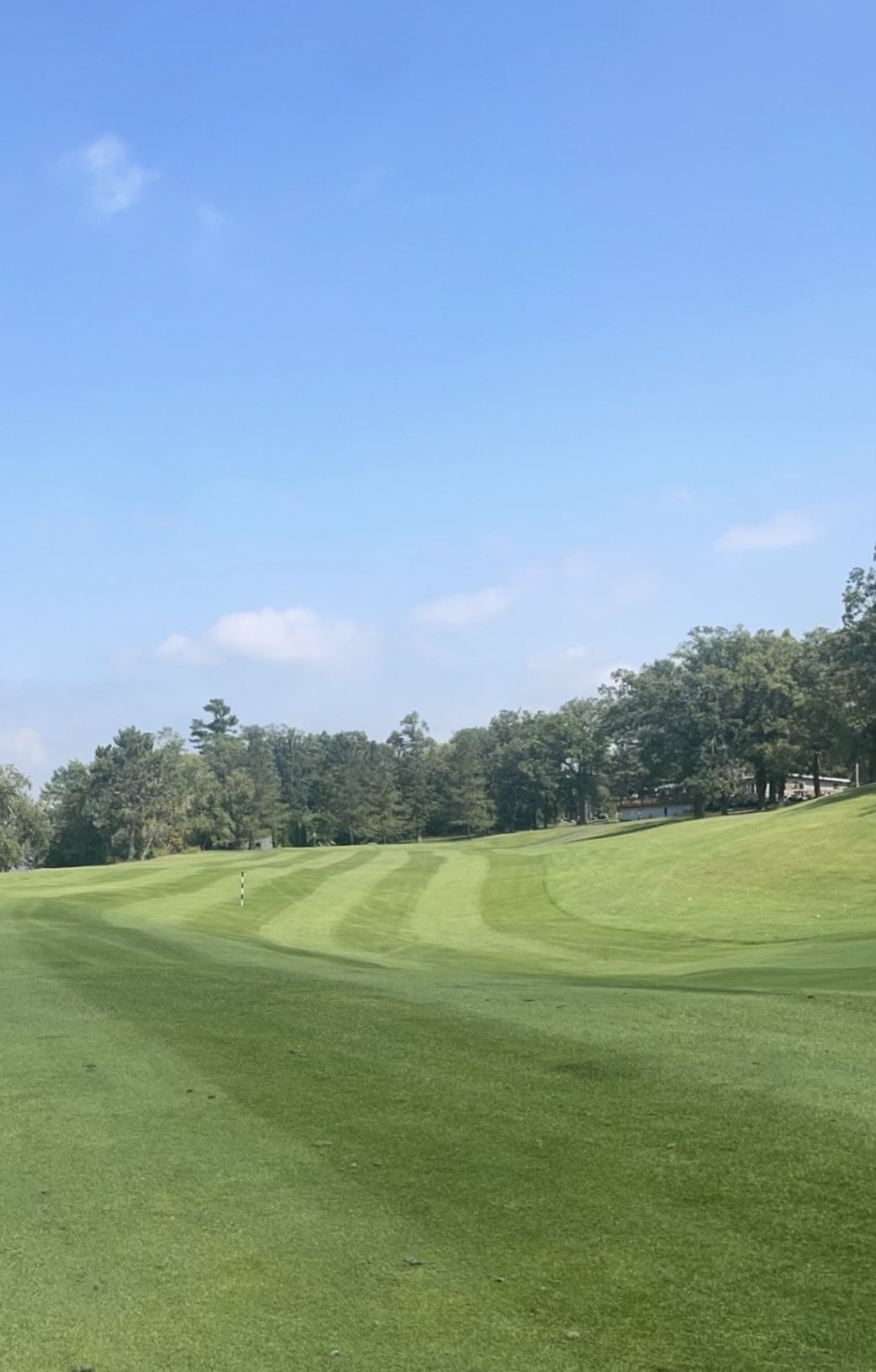 Manicured golf course greens