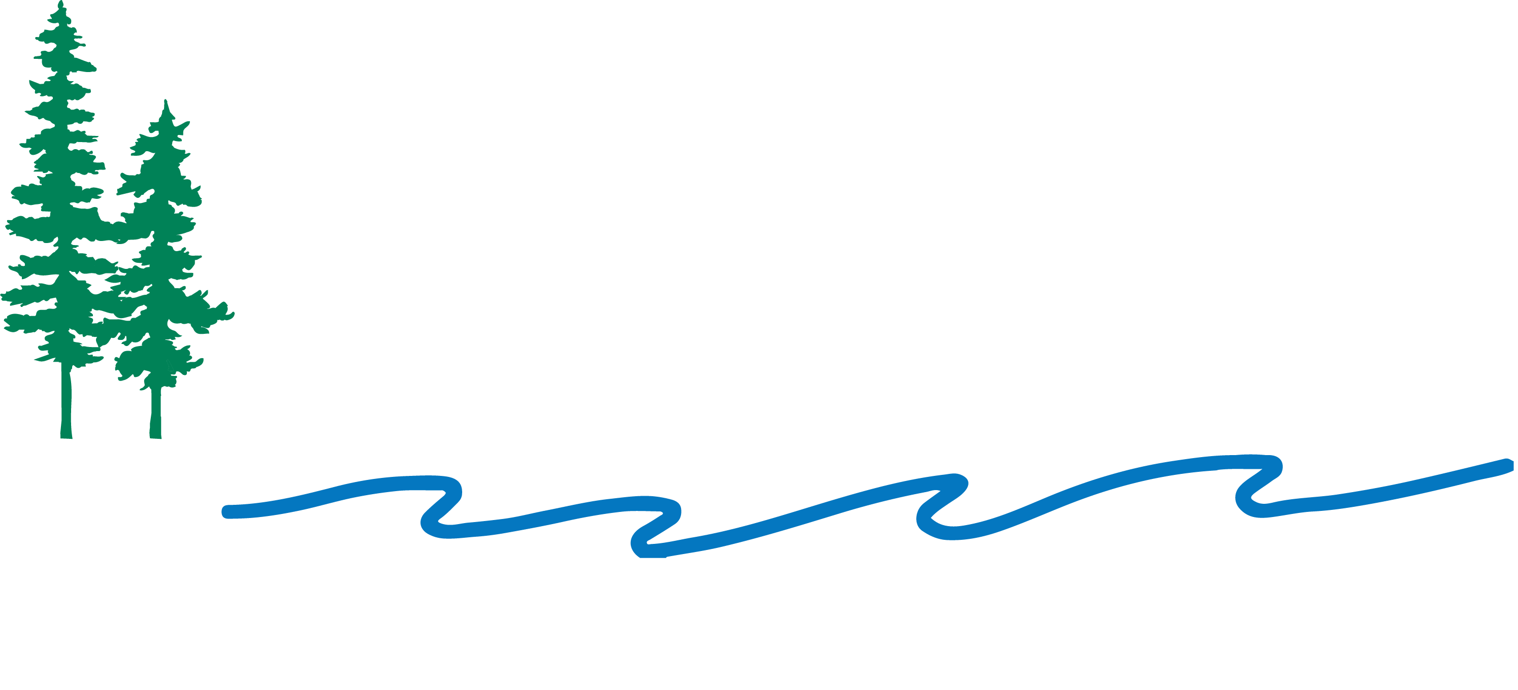 Little Falls Logo